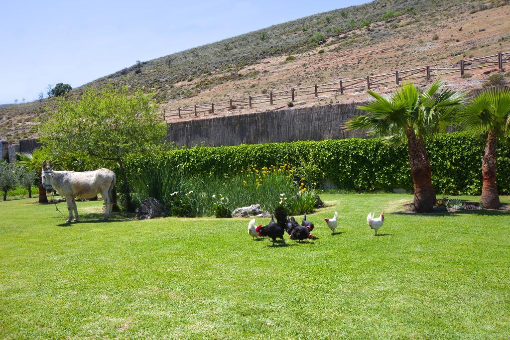 Al Agia - Los Molinos De Padul المظهر الخارجي الصورة